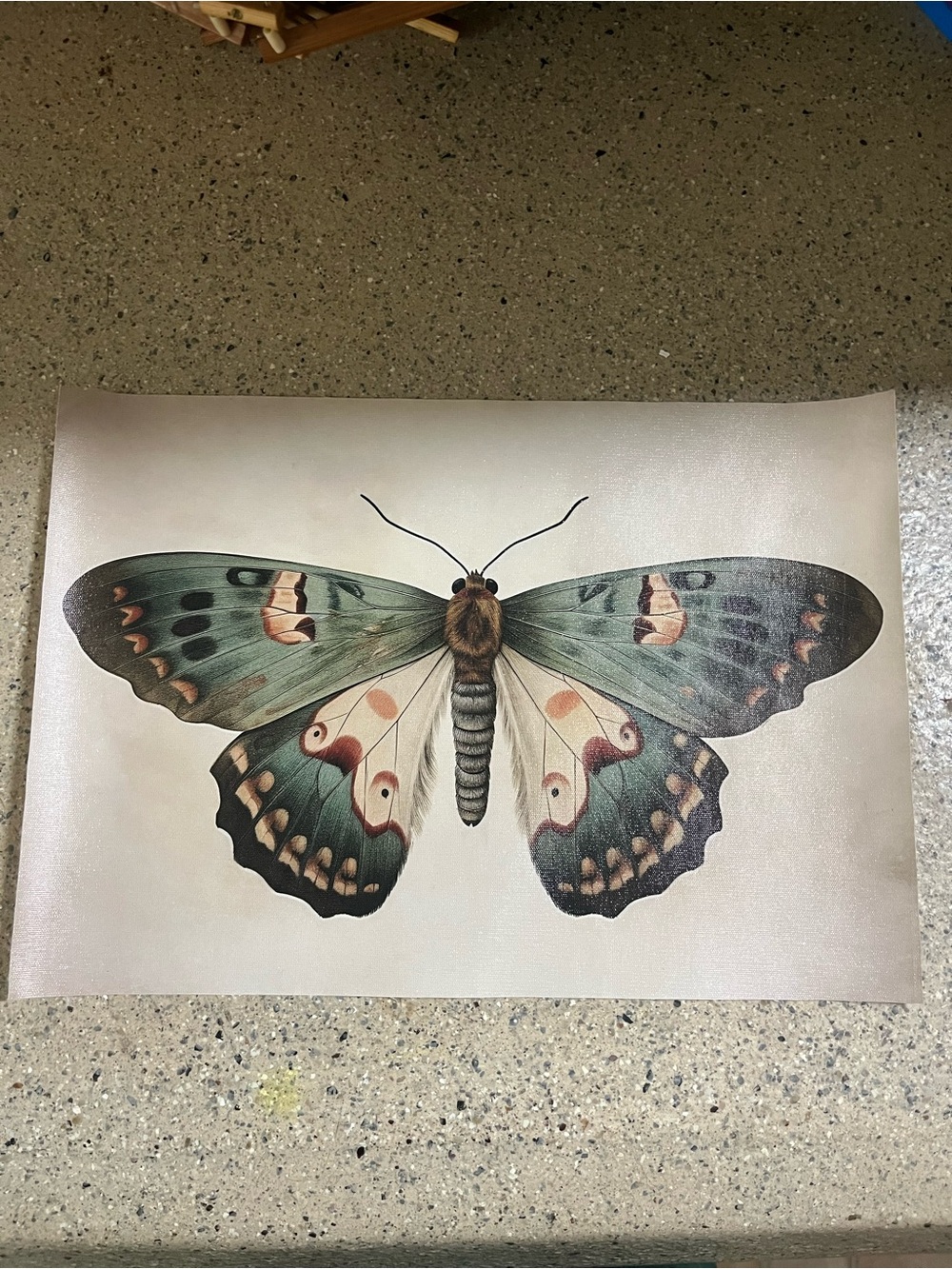 Vintage-Style Butterfly Wall Art Print - Green and Cream